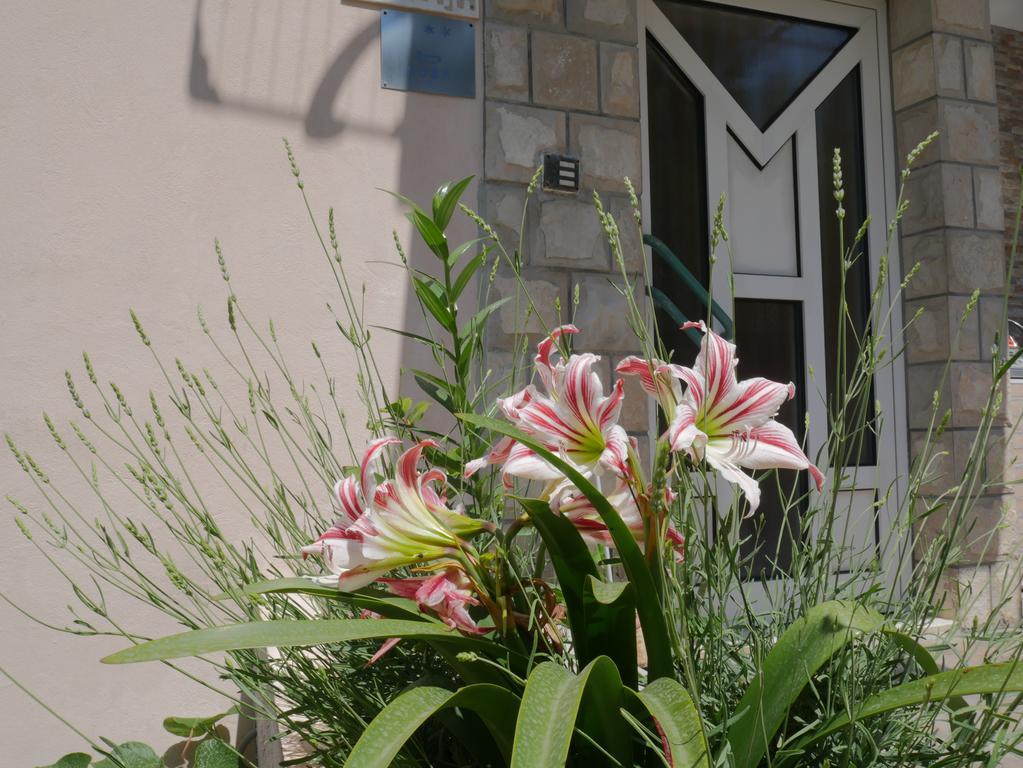Guest House Almond Bečići Exterior foto